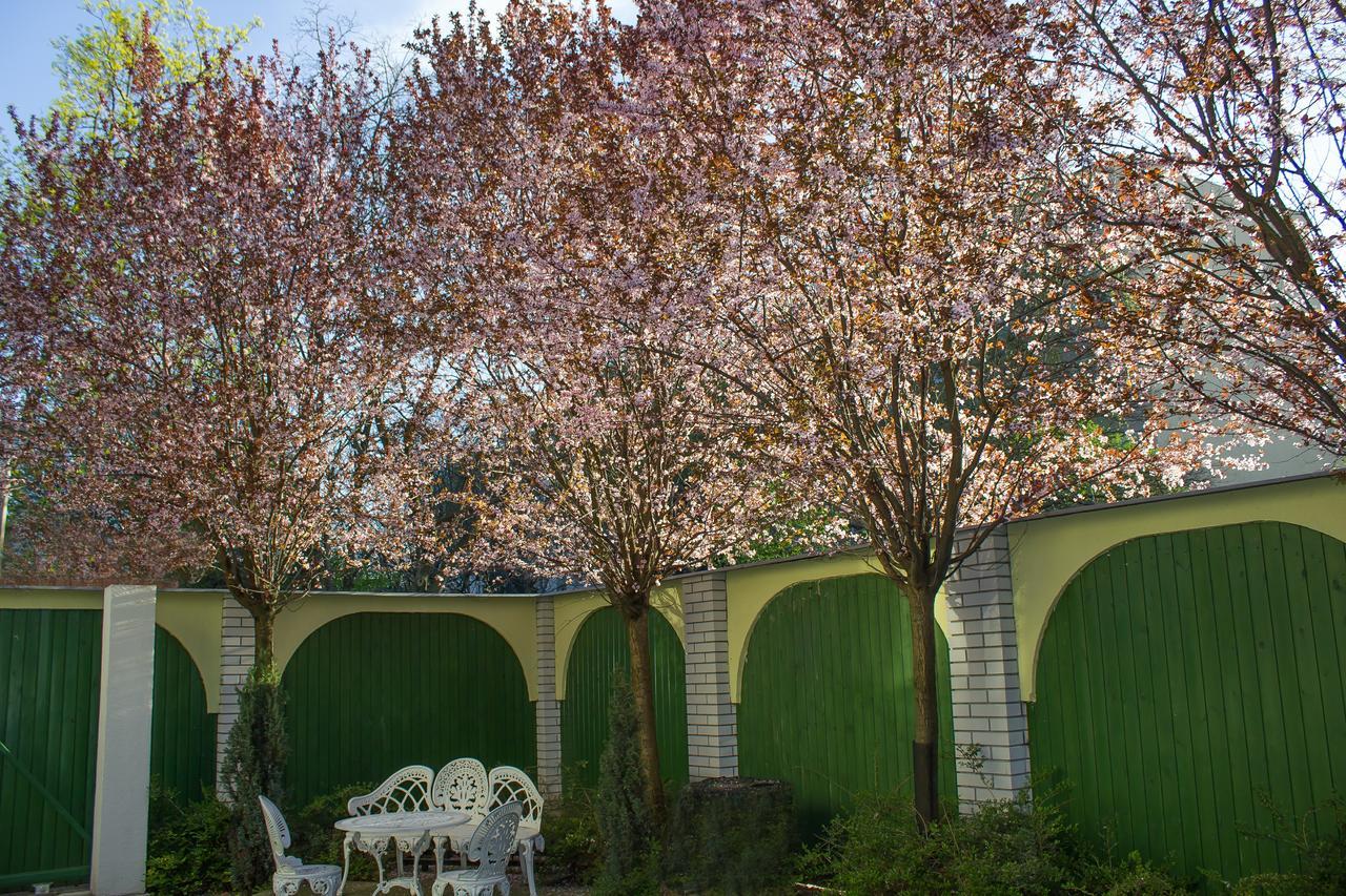 Nexus Vendégház Szeged Esterno foto